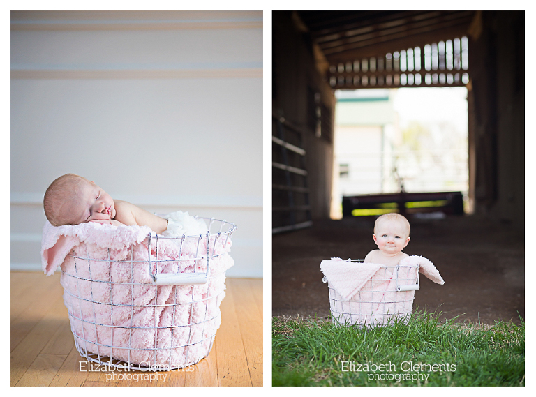 basket comparison